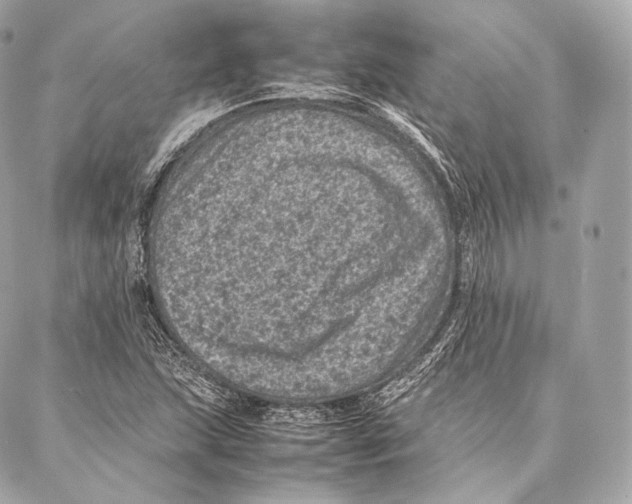 X0000086971215200705141642