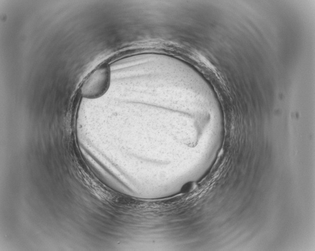 X0000086971216200705141642