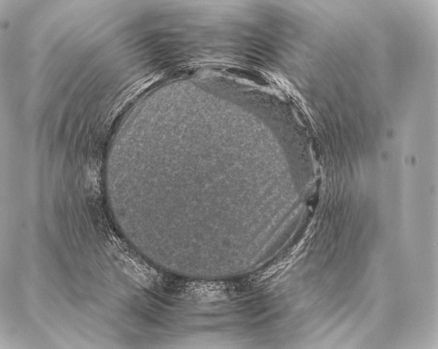 X0000086971217200705141642