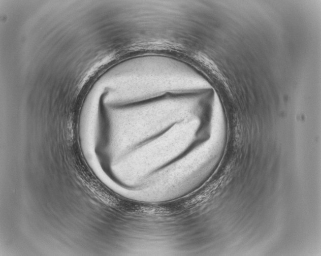 X0000086971218200705141642