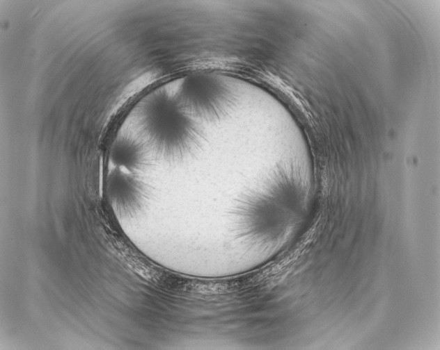 X0000086971219200705141642