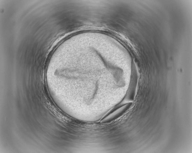 X0000086971220200705141642