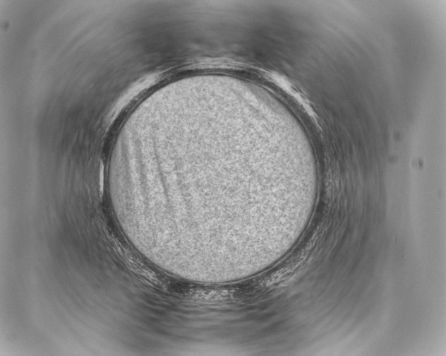 X0000086971221200705141642