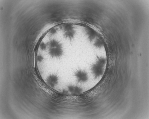 X0000086971223200705141642