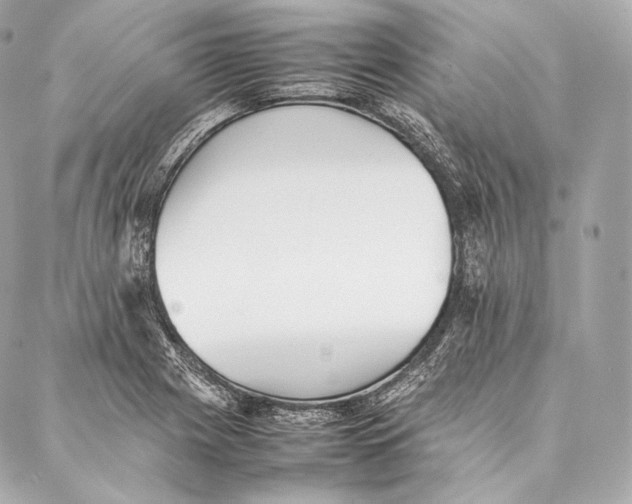 X0000086971225200705141642