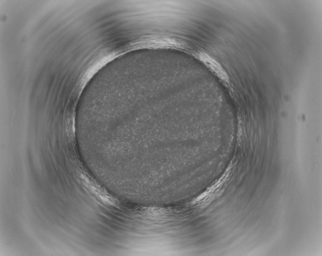 X0000086971226200705141642