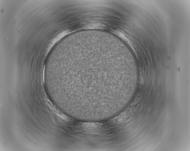 X0000086971227200705141642