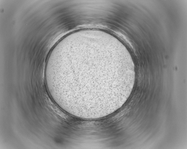 X0000086971228200705141642