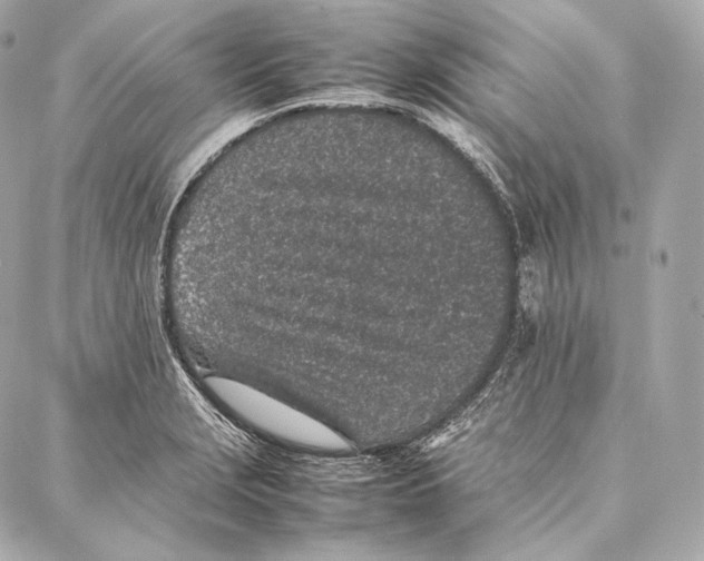 X0000086971229200705141643