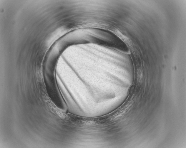 X0000086971230200705141643