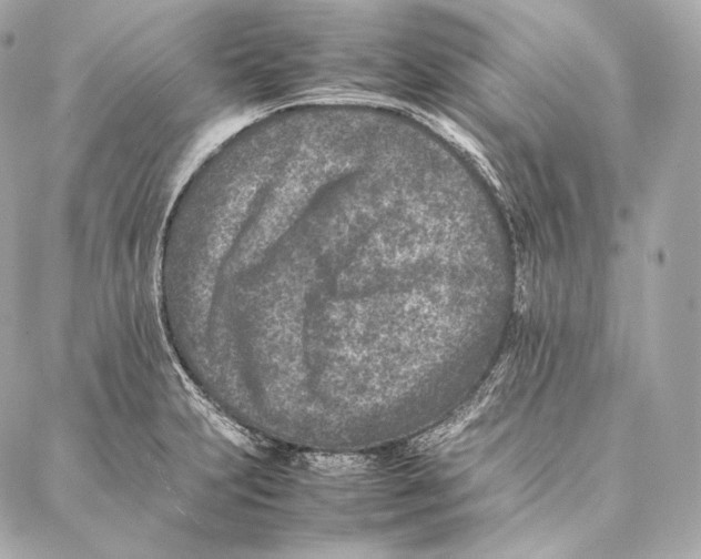 X0000086971231200705141643