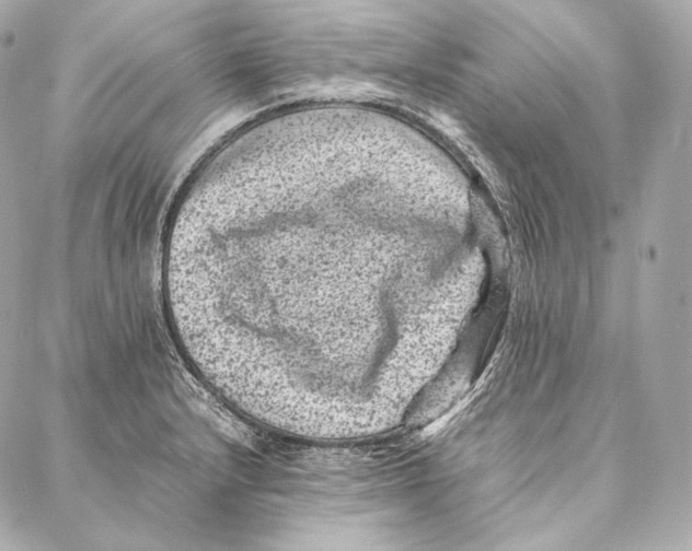 X0000086971232200705141643