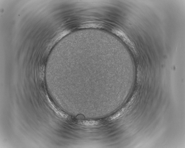 X0000086971233200705141643