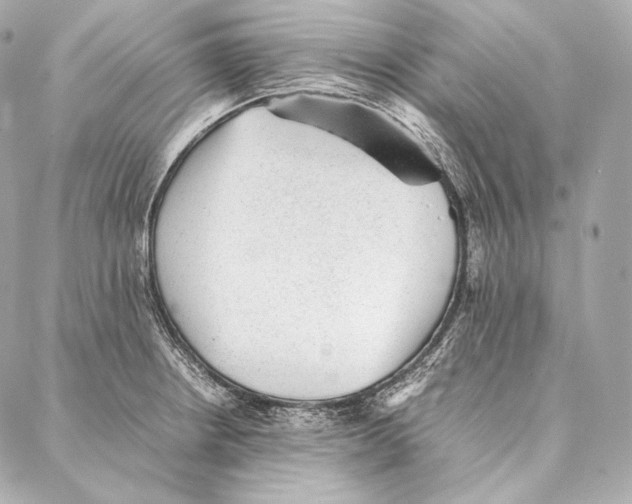 X0000086971234200705141643