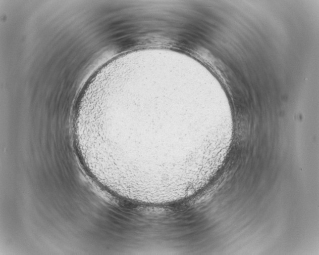 X0000086971235200705141643