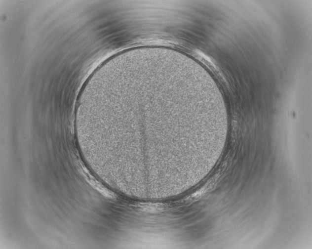 X0000086971236200705141643