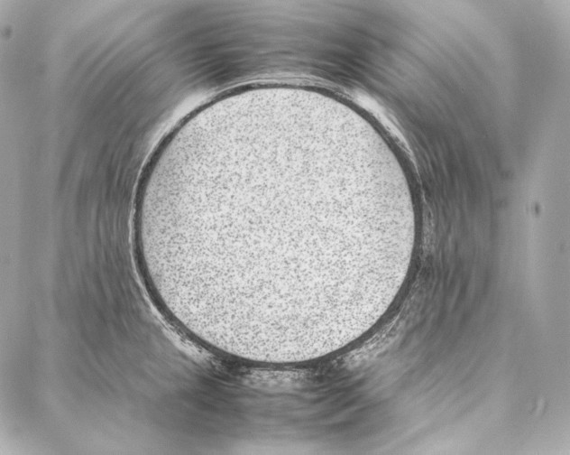 X0000086971237200705141643