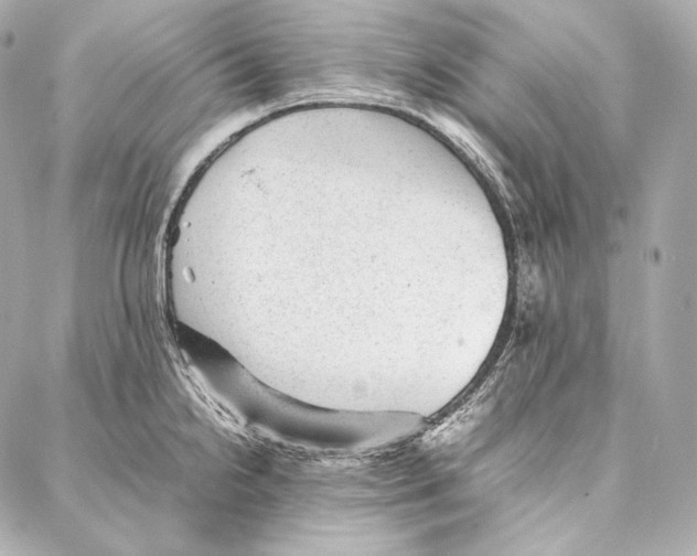 X0000086971238200705141643