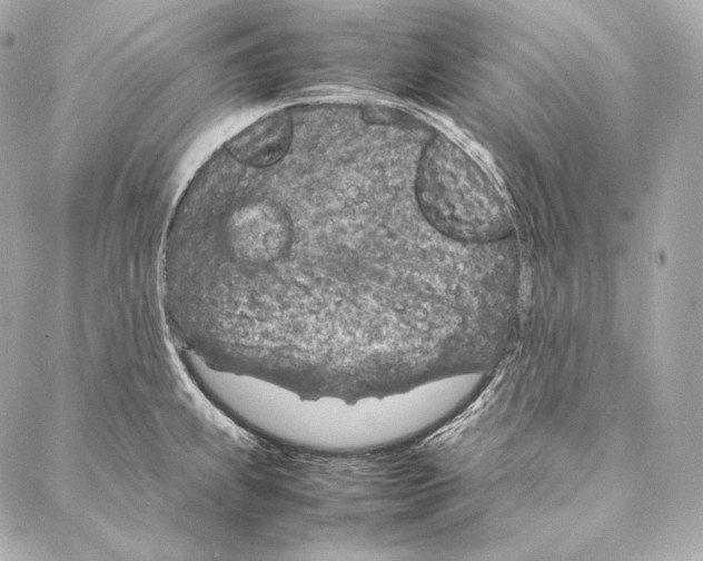 X0000086971239200705141643