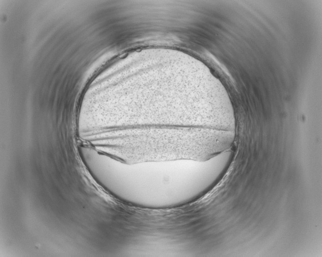 X0000086971240200705141643