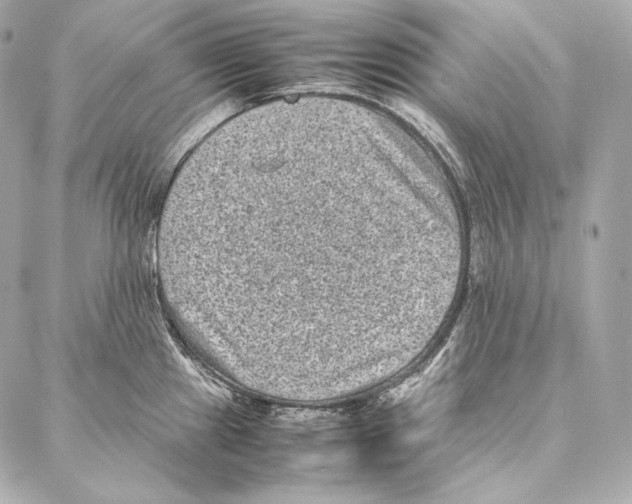 X0000086971241200705141643