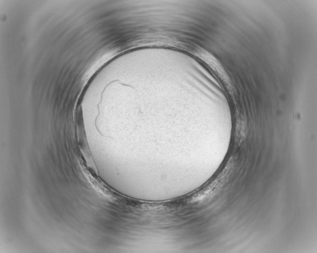 X0000086971242200705141643