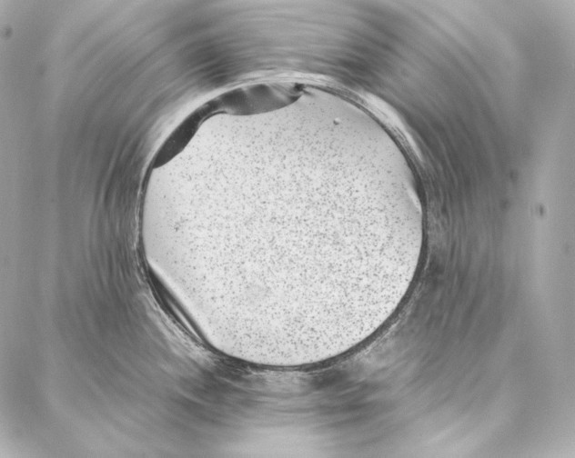 X0000086971244200705141643