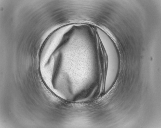 X0000086971246200705141643