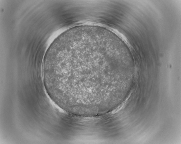 X0000086971247200705141643