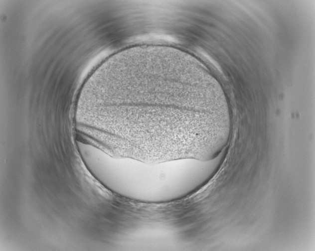 X0000086971248200705141643