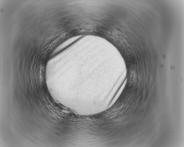 X0000086971250200705141642