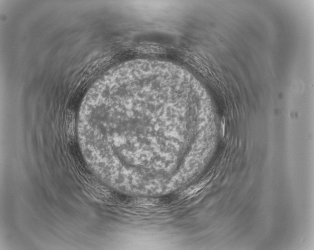 X0000086971251200705141642