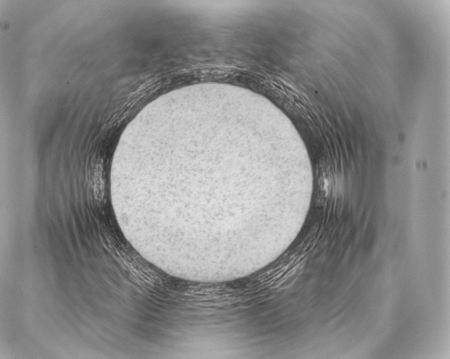 X0000086971252200705141642