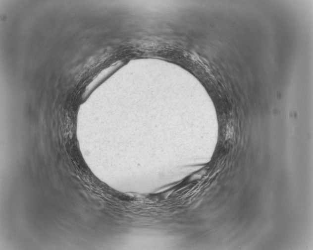 X0000086971253200705141642