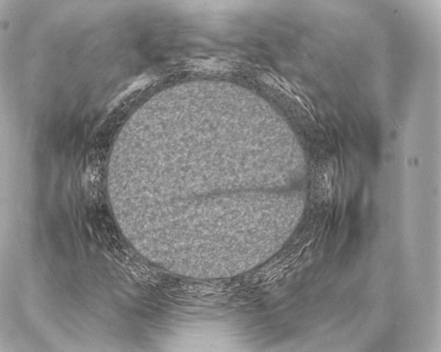 X0000086971254200705141642