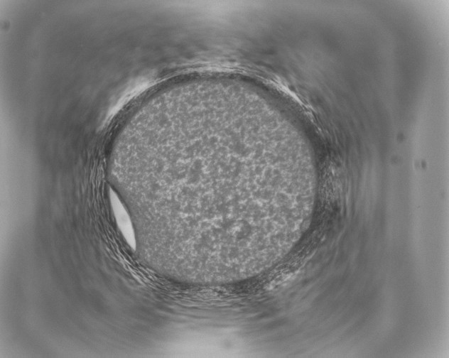 X0000086971255200705141642