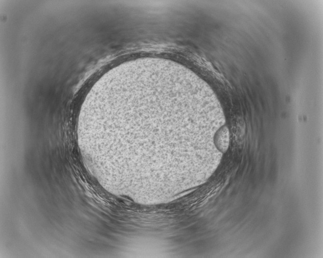 X0000086971256200705141642