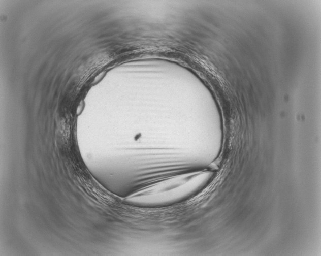 X0000086971257200705141642