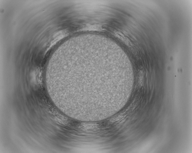 X0000086971258200705141642