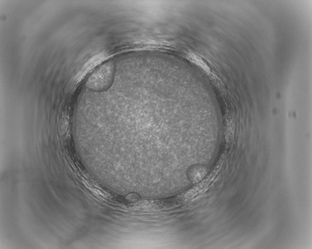 X0000086971259200705141642