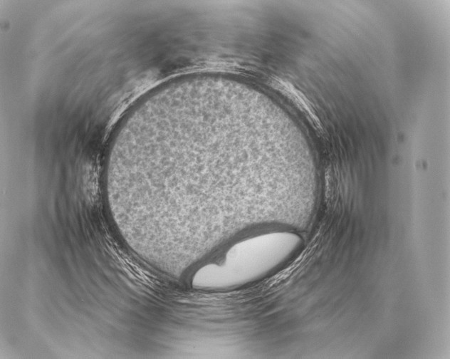 X0000086971260200705141642