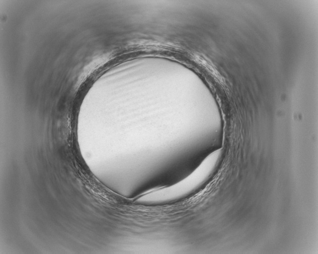 X0000086971261200705141642