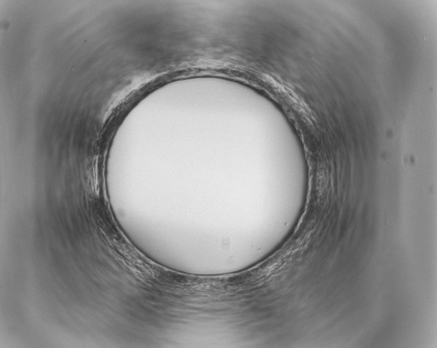 X0000086971262200705141642