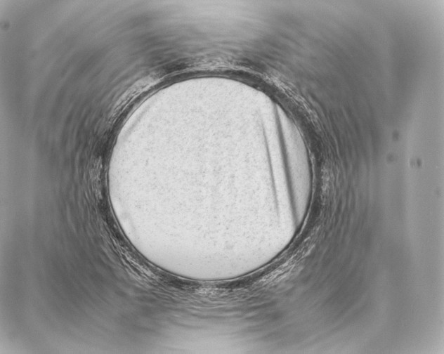 X0000086971265200705141642