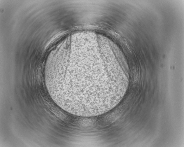 X0000086971266200705141642