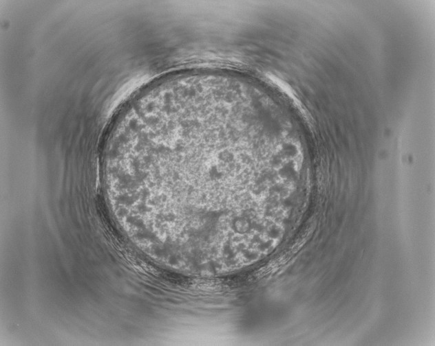 X0000086971267200705141642