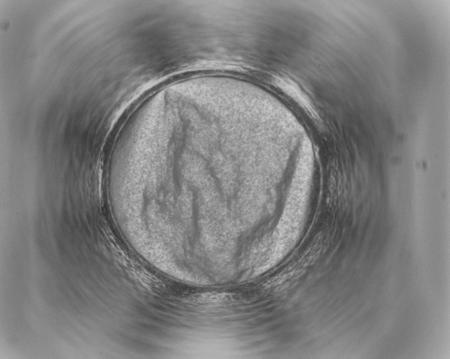 X0000086971268200705141642