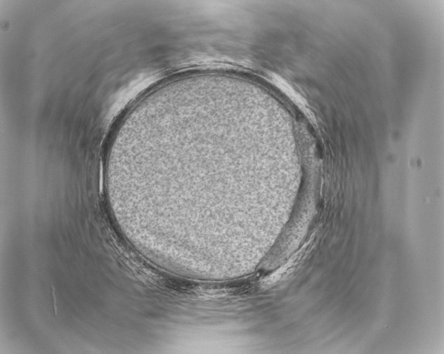 X0000086971269200705141642