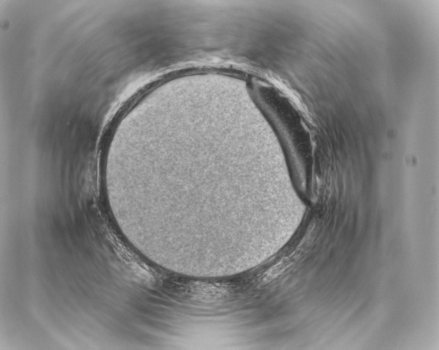 X0000086971270200705141642