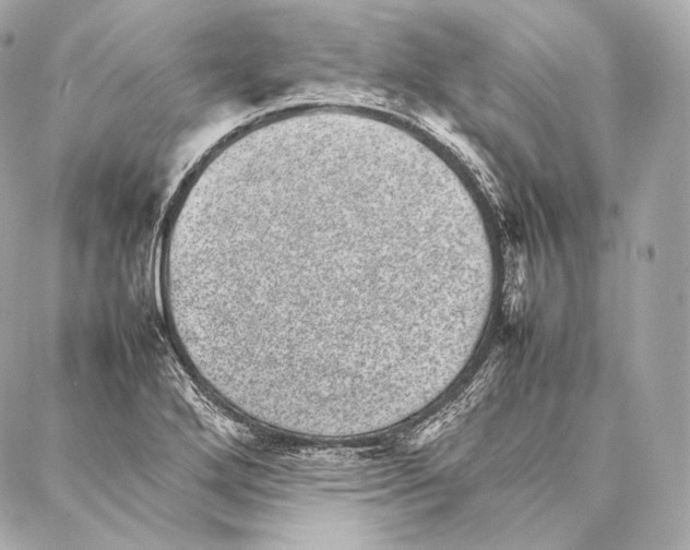 X0000086971272200705141642